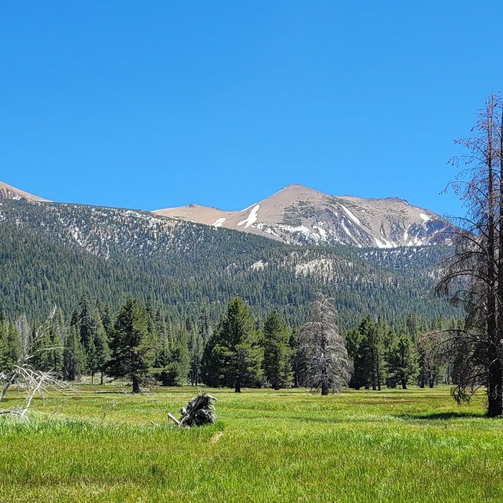 Meet your Posher, Stacy